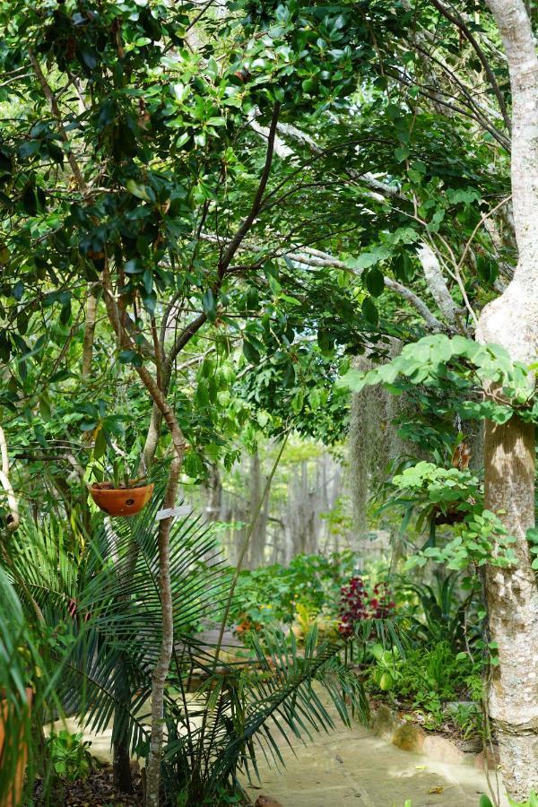El Paraiso Posada Finca San Vicente Barichara Luaran gambar