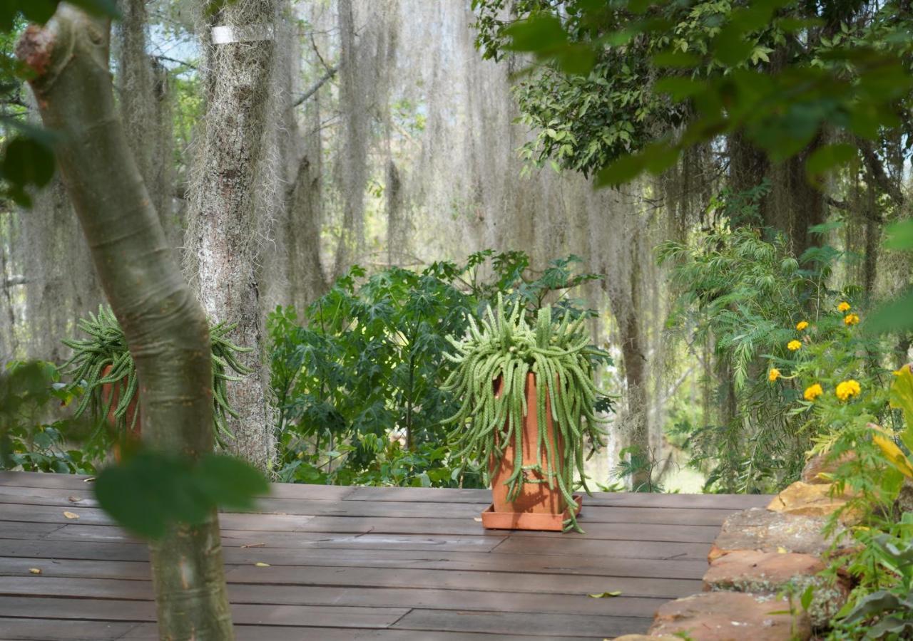 El Paraiso Posada Finca San Vicente Barichara Luaran gambar
